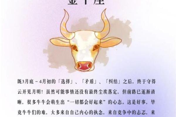 金牛座今日运势星座屋2025年3月26日 金牛座今日运势星座屋2025年3月26日