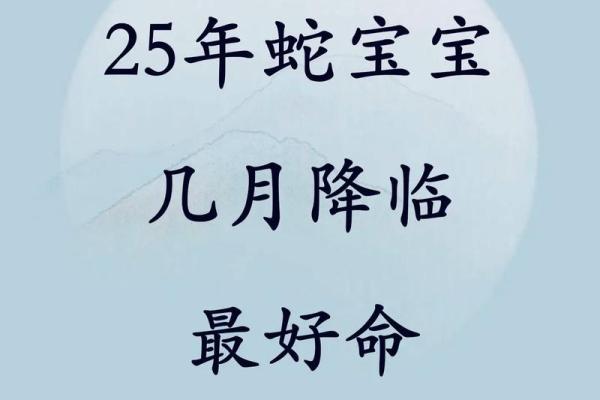 2025年属蛇人各月出生年龄对照表 2025年属蛇人各月出生年龄对照表