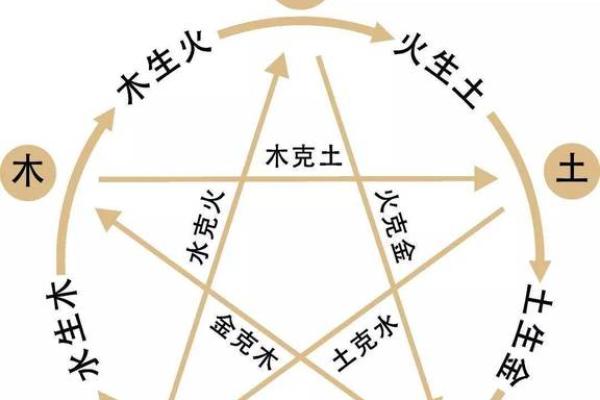 2024年的龙五行属什么_2024甲辰年属龙五行揭秘木属性命理解析 2024年的龙五行属什么_2024甲辰年属龙五行揭秘木属性命理解析