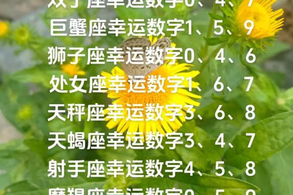 白羊座今日运势查询星座_白羊座今日运势  第一星座 白羊座今日运势查询星座_白羊座今日运势  第一星座