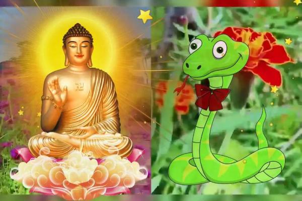 属蛇农历几月出生带财_生肖蛇农历哪几个月出生财运旺这3个月份财气最盛 属蛇农历几月出生带财_生肖蛇农历哪几个月出生财运旺这3个月份财气最盛