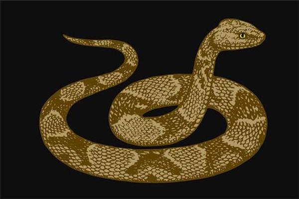 2025年属大龙的全年运势 2025年属大龙的全年运势佛滔网 2025年属大龙的全年运势 2025年属大龙的全年运势佛滔网