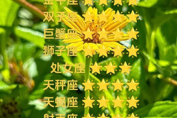 2025年3月29日白羊座今日运势第一星座网2024年 2025年3月29日白羊座今日运势第一星座网2024年