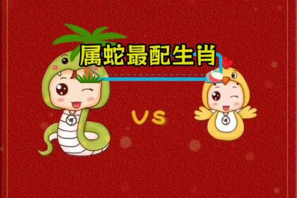 红颜知己是什么生肖(蛇的红颜知己是什么生肖) 红颜知己是什么生肖(蛇的红颜知己是什么生肖)