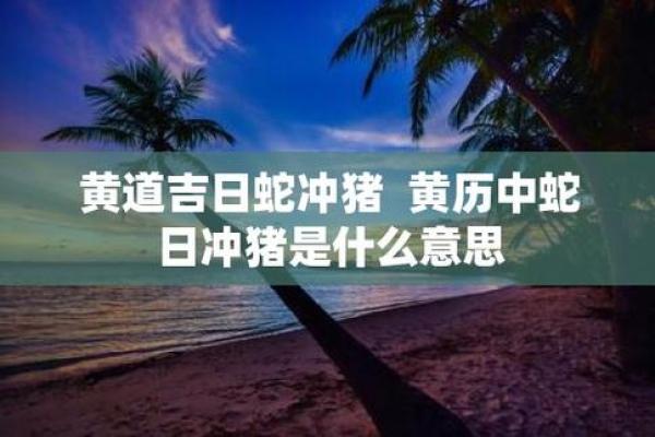 属蛇的装修吉日查询6月 属蛇的装修吉日查询6月