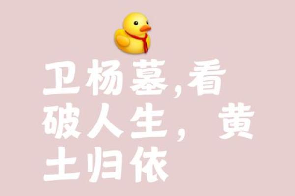 其貌不扬打一生肖(其貌不扬打一生肖最佳答案) 其貌不扬打一生肖(其貌不扬打一生肖最佳答案)