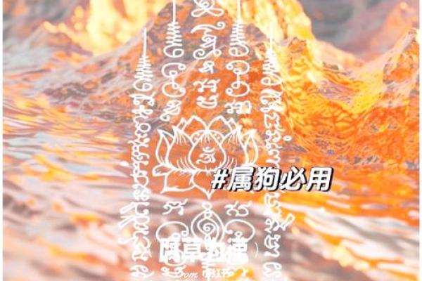 2025年1994年属狗的女性运程 1994年属狗人2024年运势运程 2025年1994年属狗的女性运程 1994年属狗人2024年运势运程