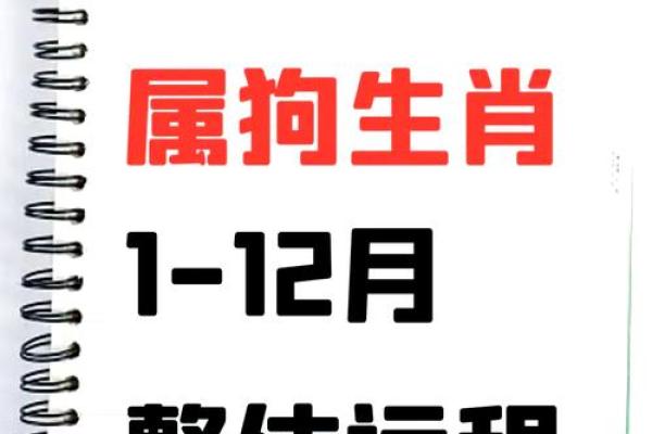 2025年70年属狗人运势与财运全解析 2025年70年属狗人运势与财运全解析