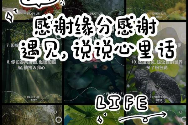 缘分让我认识你 缘分让我认识你一段奇妙相遇的故事 缘分让我认识你 缘分让我认识你一段奇妙相遇的故事