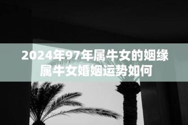 1997年属牛最佳结婚年份解析姻缘何时到来 1997年属牛最佳结婚年份解析姻缘何时到来