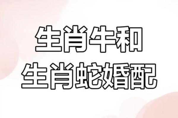 1997年属牛最佳结婚年份解析姻缘何时到来 1997年属牛最佳结婚年份解析姻缘何时到来