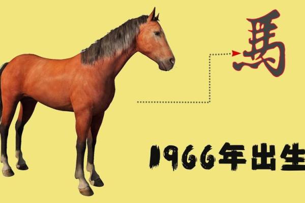 1966年属马的男人一生运势_1966年属马的男人多大寿命 1966年属马的男人一生运势_1966年属马的男人多大寿命