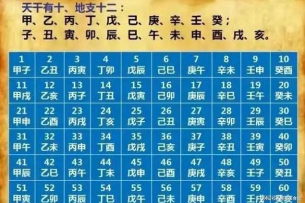 2024年2月属龙人年龄对照表出生年份与岁数速查 2024年2月属龙人年龄对照表出生年份与岁数速查