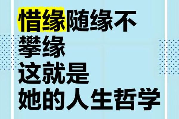 都是缘分惹的祸_都是缘分惹的祸命运捉弄下的情感纠葛 都是缘分惹的祸_都是缘分惹的祸命运捉弄下的情感纠葛