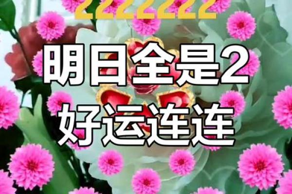 二月的好日子 二月的好日子