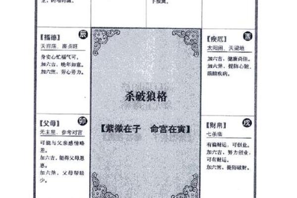 2025年2月25日丑时男命紫微斗数全解盘