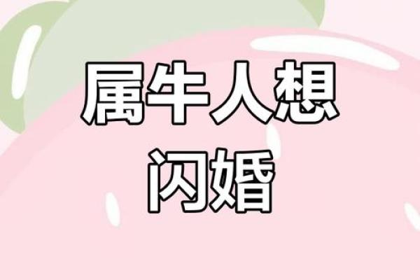 97年属牛女的姻缘在2025年_97年属牛女孩2021感情 97年属牛女的姻缘在2025年_97年属牛女孩2021感情