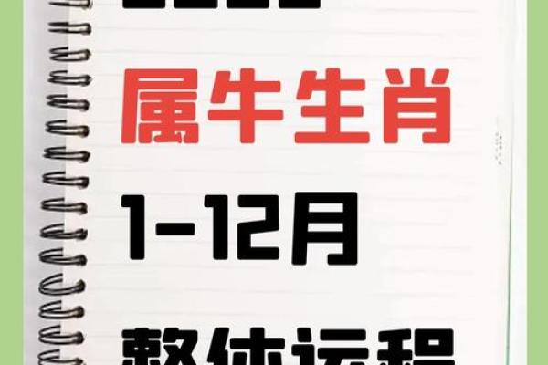 97年属牛女的姻缘在2025年_97年属牛女孩2021感情 97年属牛女的姻缘在2025年_97年属牛女孩2021感情