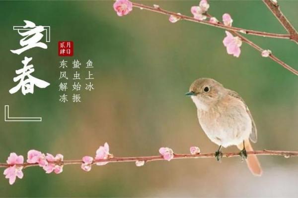 2020立春图片 2020立春图片
