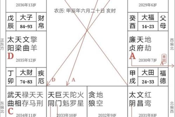 2025年2月24日卯时男命紫微斗数全解盘 2025年2月24日卯时男命紫微斗数全解盘