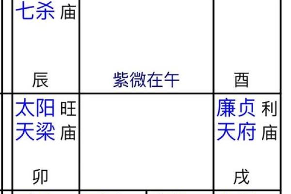 2025年2月25日卯时男命紫微斗数全解盘 2025年2月25日卯时男命紫微斗数全解盘