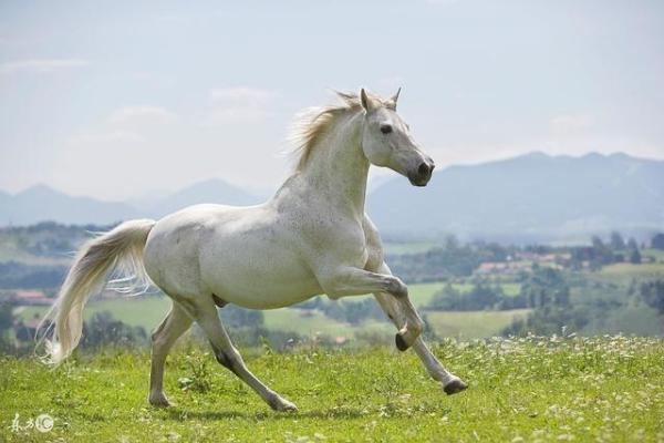 1990年7月17日属马是什么命 1990年七月十七是什么命 1990年7月17日属马是什么命 1990年七月十七是什么命