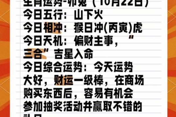 蛇年属兔的运势怎么样 蛇年属兔运势解析2023年兔年运势如何 蛇年属兔的运势怎么样 蛇年属兔运势解析2023年兔年运势如何