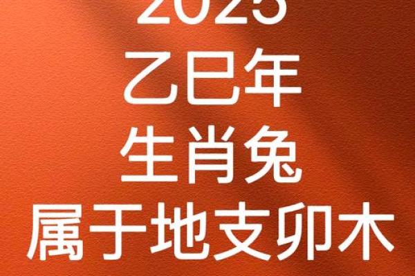 蛇年属兔的运势怎么样 蛇年属兔运势解析2023年兔年运势如何 蛇年属兔的运势怎么样 蛇年属兔运势解析2023年兔年运势如何