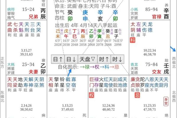 2025年3月30日子时男命紫微斗数全解盘 2025年3月30日子时男命紫微斗数全解盘