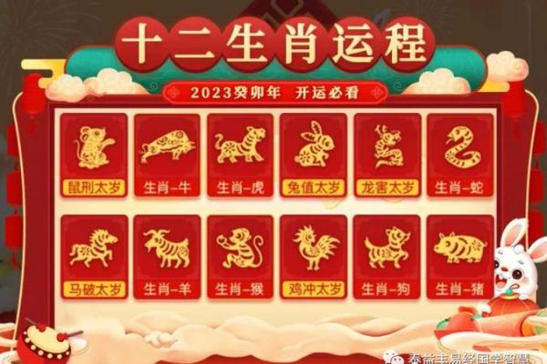 2023年兔年运势 2023年兔年运势解析财运事业爱情全攻略 2023年兔年运势 2023年兔年运势解析财运事业爱情全攻略