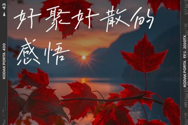 缘分的经典短句 缘分的经典短句触动心灵的缘分语录精选 缘分的经典短句 缘分的经典短句触动心灵的缘分语录精选