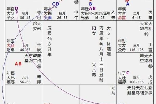 2025年2月20日丑时女命紫微斗数全解盘 2025年2月20日丑时女命紫微斗数全解盘