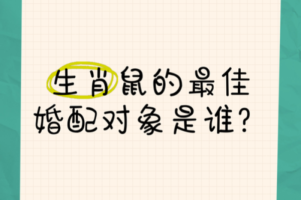 属鼠跟属羊婚配好不好_属鼠和属羊的婚配好不好 属鼠跟属羊婚配好不好_属鼠和属羊的婚配好不好
