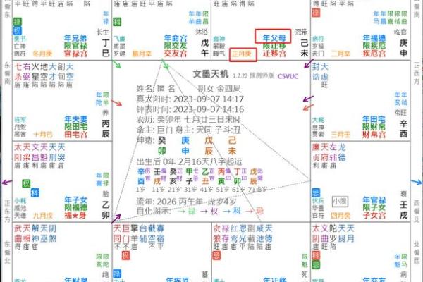 2025年2月27日子时女命紫微斗数全解盘 2025年2月27日子时女命紫微斗数全解盘