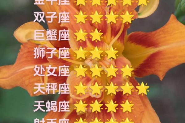 白羊座座今日运势紫薇科技星座网_白羊座今日运势解析紫薇科技星座网独家预测 白羊座座今日运势紫薇科技星座网_白羊座今日运势解析紫薇科技星座网独家预测