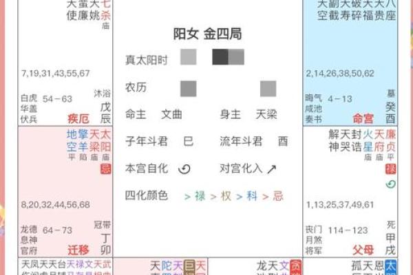 2025年3月16日丑时女命紫微斗数全解盘 2025年3月16日丑时女命紫微斗数全解盘