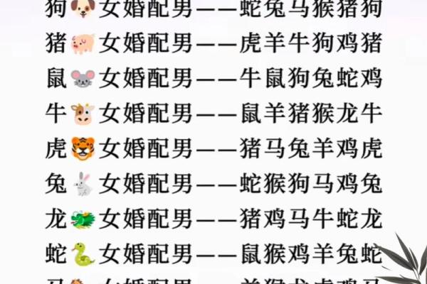 属兔婚配最佳属相揭秘最合适的生肖配对 属兔婚配最佳属相揭秘最合适的生肖配对