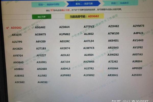 2021新车牌实施 2021新车牌实施