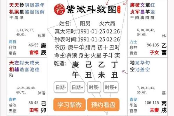 2025年3月22日丑时男命紫微斗数全解盘 2025年3月22日丑时男命紫微斗数全解盘