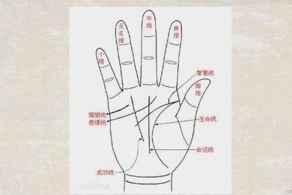 手相看姻缘揭秘掌纹中的爱情密码 手相看姻缘揭秘掌纹中的爱情密码