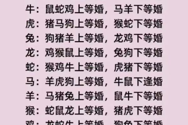 2002年属马配什么生肖最好最佳婚配属相揭秘 2002年属马配什么生肖最好最佳婚配属相揭秘