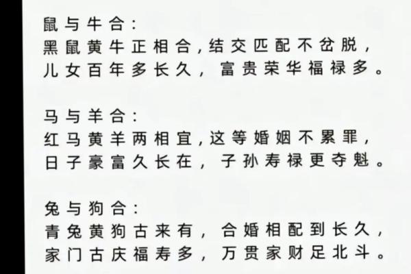 2002年属马配什么生肖最好最佳婚配属相揭秘 2002年属马配什么生肖最好最佳婚配属相揭秘