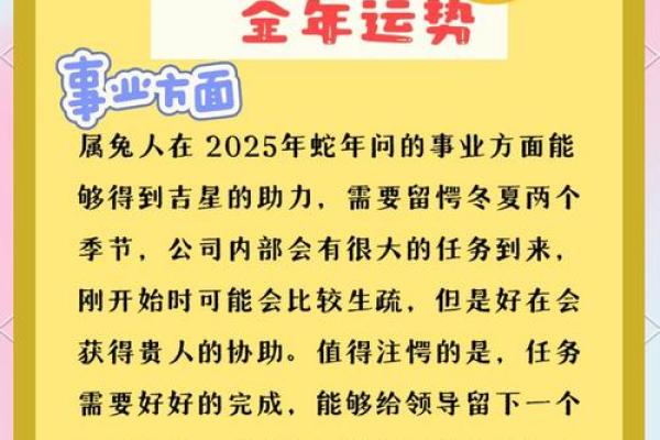 2024年属兔人全年运势详解1975年出生者必看 2024年属兔人全年运势详解1975年出生者必看