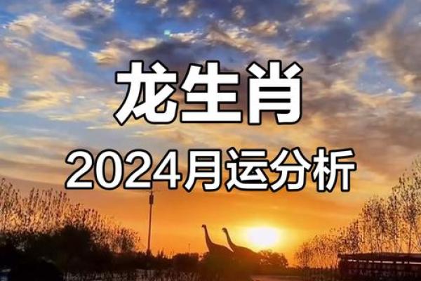 属龙2024年的全年运势_2024属龙人全年运势大揭秘逐月运程完整解析 属龙2024年的全年运势_2024属龙人全年运势大揭秘逐月运程完整解析