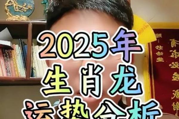 属兔2025年多大_属猪2025年多大 属兔2025年多大_属猪2025年多大