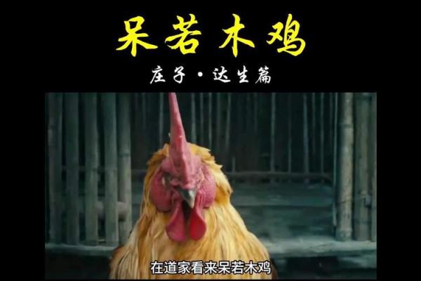 呆若木鸡打一个生肖(呆若木鸡打一个生肖动物) 呆若木鸡打一个生肖(呆若木鸡打一个生肖动物)