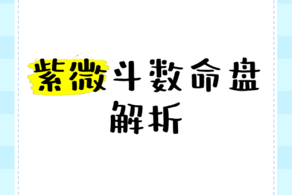 2025年3月3日丑时女命紫微斗数全解盘 2025年3月3日丑时女命紫微斗数全解盘