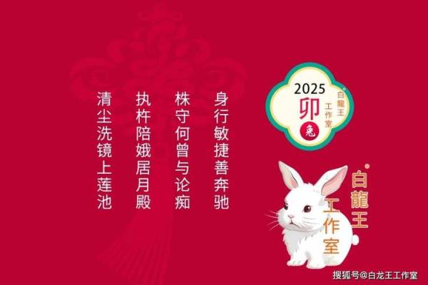75年属兔人2025年每月运势 2025年属兔人每月运势详解75年兔年出生者全年运程 75年属兔人2025年每月运势 2025年属兔人每月运势详解75年兔年出生者全年运程