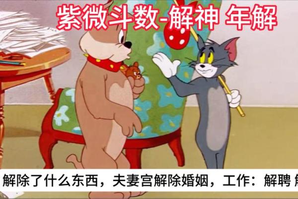 夫妻宫解神含义解析揭秘命理中的婚姻奥秘 夫妻宫解神含义解析揭秘命理中的婚姻奥秘