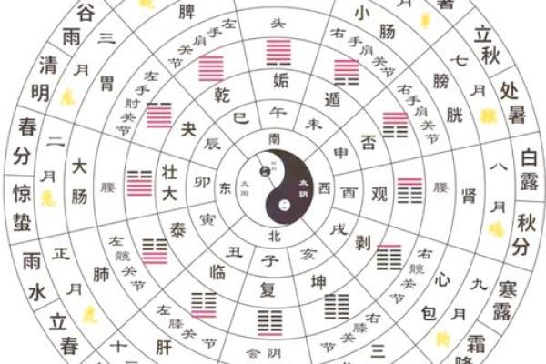 二黑巨门星五行属什么_二黑巨门星五行属性解析揭秘其神秘力量 二黑巨门星五行属什么_二黑巨门星五行属性解析揭秘其神秘力量